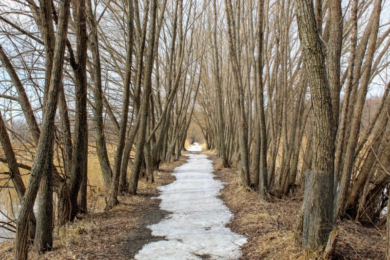 Refuge Faunique Marguerite-D’Youville